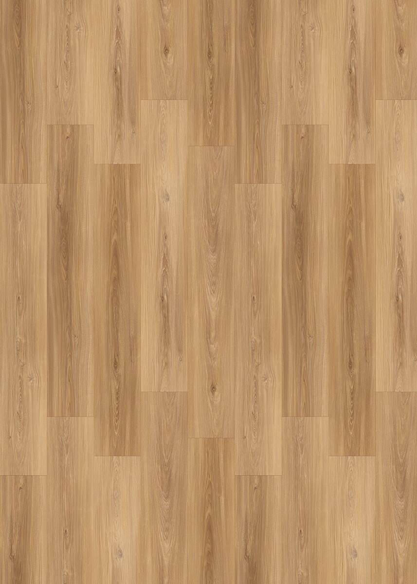 Highland Grove - Image 3