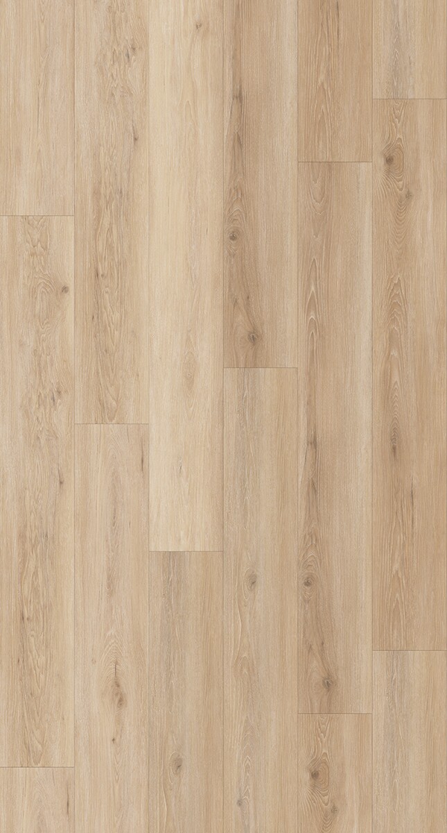 Orchard - Image 3