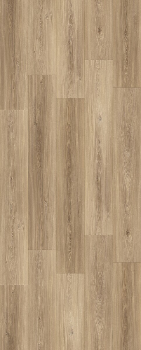 Soundview - Image 2